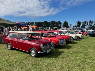 IMG_1359.jpg