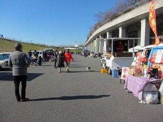 IMG_3329.JPG