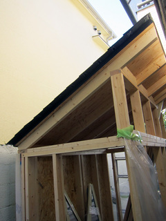 IMG_6979.JPG