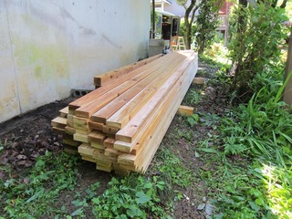 IMG_8058.JPG