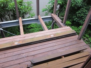 IMG_8062.JPG